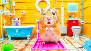 🐹 Hamster Escapes the Space Prison Maze 🚀 Hamster Maze