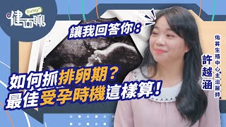 如何抓排卵期？最佳受孕時機這樣算！【TODAY健面聊_QA｜許越涵醫師】