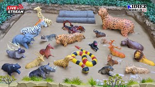 Playful Learning with African Domestic and Forest Animals for Kids | Kidiez World TV Live!