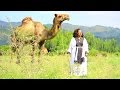 Meseret Belete - Erikum Zemeda | እሪኩም ዘመዳ - New Ethiopian Music (Official Video)