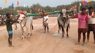 ఎమ్మిగనూరు న్యూ క్యాటగిరి విభాగంలో మూడవ బహుమతిని సాధించిన షేక్ మైమున్నా మల్యాల గ్రామం.