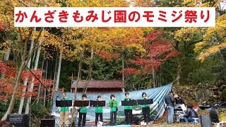 かんざきもみじ園2016のモミジ祭り