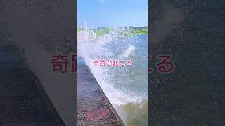 【霞ヶ浦】奇跡の生還