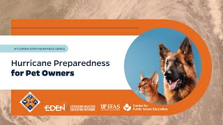 Hurricane Preparedness for Pet Owners