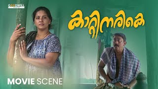 രണ്ടുപേരുംകൂടി എന്നാ എടുക്കുവാ അവിടെ..? | Kattinarike Movie Scene | Ashokan | Sini Abraham