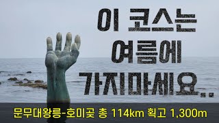 코스추천) 포항투어라이딩 / 만만하게 보고 갔다가 탈탈 털렸네요 (코스파일 첨부)