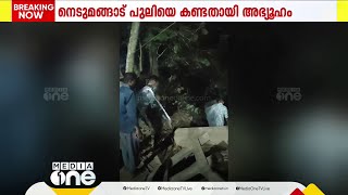 നെടുമങ്ങാട്ടെ നാട്ടുകാർ കണ്ടത് പുലി? കാട്ടു പൂച്ച ആവാൻ സാധ്യതയെന്ന് വനം വകുപ്പ്, പരിശോധന നടത്തുന്നു