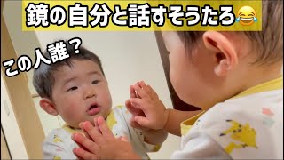 鏡の中の自分と話す息子【生後９ヶ月】