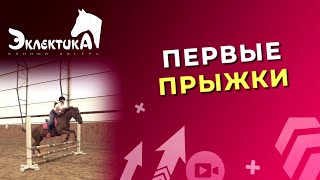 Первые прыжки. Конный спорт. Конкур