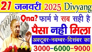 21 जनवरी 2025 : दिव्यांग पेंशन फॉर्म में सब सही है ! पैसा नहीं मिला | Divyang pension kab aaegi