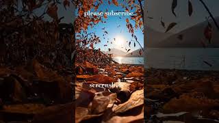 3d autumn nature। nature videos।   #shorts #nature #autumn #love#trendingshorts #shout #2025 #photo