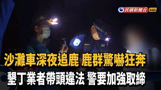 帶頭違法？ 墾丁業者帶遊客深夜追梅花鹿－民視台語新聞