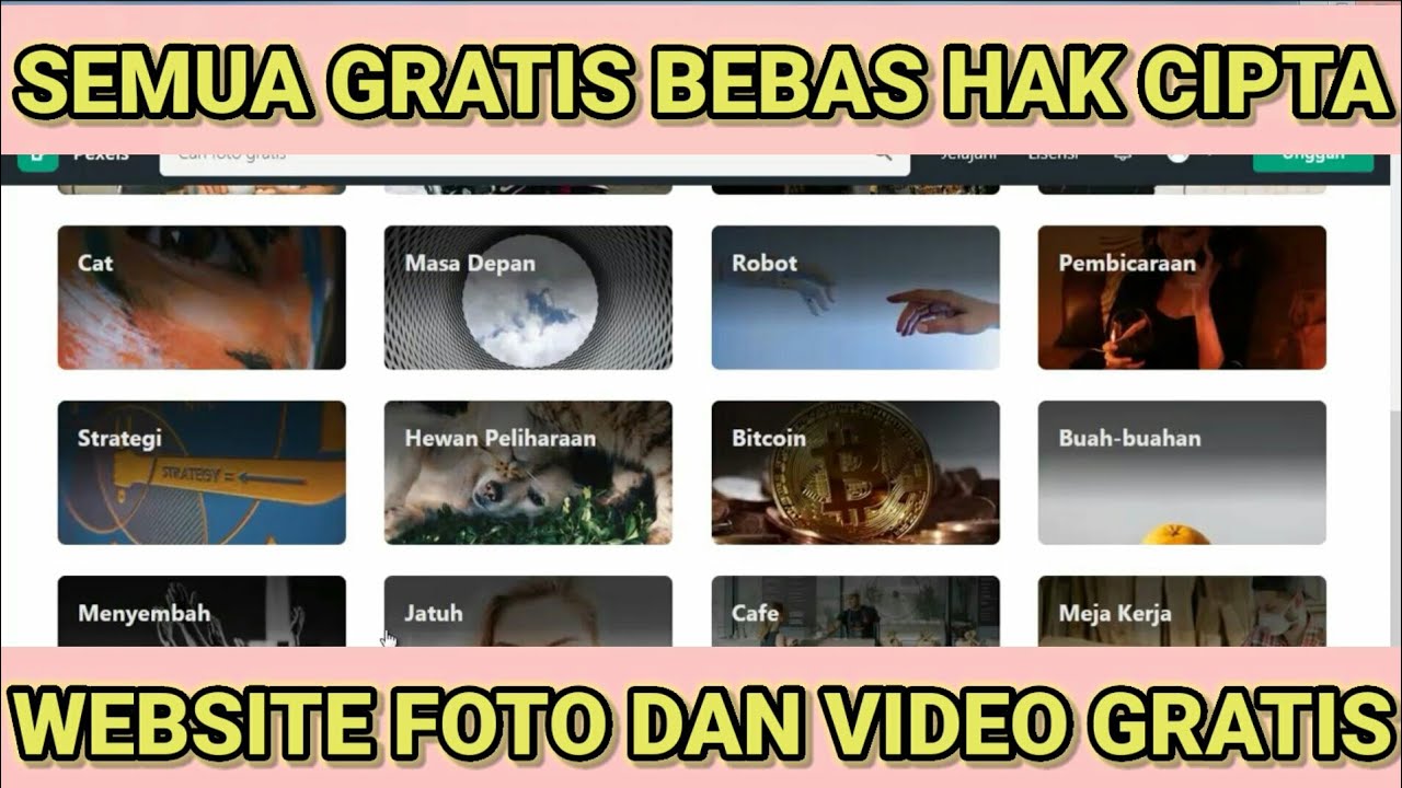 Cara Download Video Bebas Copyright Dari Tempat Penyedia Video Gratis ...