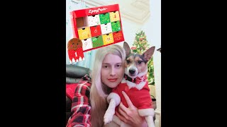 Zippy paws 12 day dog Christmas Holiday advent calendar unboxing and review