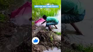 এই বর্ষায় মাছ ধরার মজাই আলাদা #shrots #fish