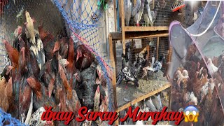 Itnay Saray murghay |Pet market visit|mini pet zoo