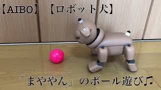 【AIBO】【ロボット犬】「まややん」のボール遊び