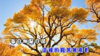 我的視訊-風飛沙-karaoke