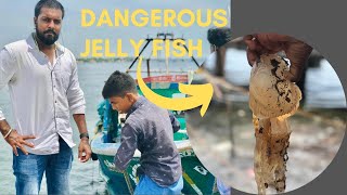 தொண்டி கடல் harbour ஒரு வலம் | thondi fisher mans | இராமநாதபுரம் வயல்வெளி | tamil vlog | village