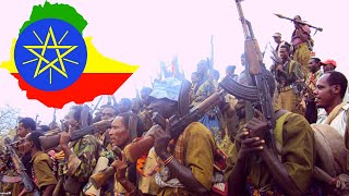 DEG-DEG Jabhadda Oromada ee OLA oo Sheegtay Inay Qabsatay Warshadii Sonkorta Ethiopia