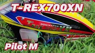 RC helicopter フライト日和 T-REX700XN Pilot M