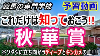 【競馬】秋華賞の予習 ソダシ絶対ムードに対抗する馬達【競馬の専門学校】