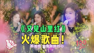 经典老歌!菲儿演唱《又见山里红》,优美的旋律,百听不厌爱了