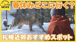 春休みどこ行く？　円山動物園はユキヒョウ公開　老舗旅館のリニューアルビュッフェ　新トレーラーホテルも