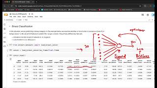 Intro to Binary Classification with PyTorch