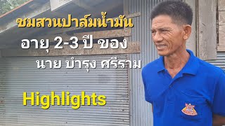 Ep.143 Highlights เยี่ยมชม สวนปาล์มน้ำมันของ นายบำรุง ศรีราม ติดตามคลิปยาวๆเร็ว ๆ นี้ครับ