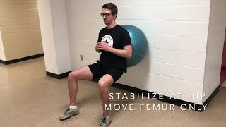 EB Wall Sit Hip Dissociation