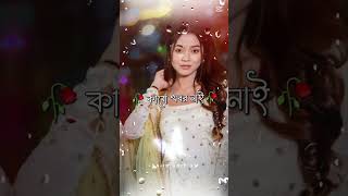 হাইরে ১৬ বছর সিঙ্গেল আমি কারো খবর নাই। #subscribers #arohimim #view #vairalshort #tending #picture