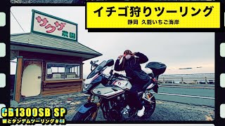 CB1300SB SP  モトブログ　静岡久能街道　イチゴ狩りツーリング　妻とタンデムツーリング＃48