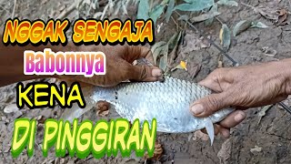 ternyata babonnya ada d pinggiran sungai.