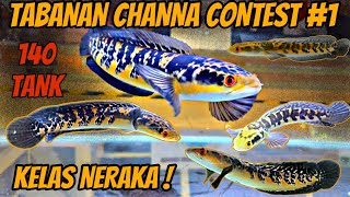 KELAS NERAKA❗️CHANNA MARU JUNIOR , JUVENIL DAN PROGRESS , TABANAN CHANNA CONTEST #1