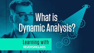 Learning with ReversingLabs: What is Dynamic Analysis?
