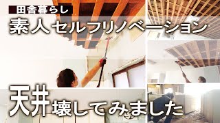 【田舎暮らし】#2移住生活　天井壊し　セルフリノベーション