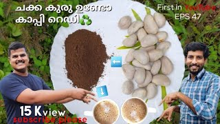 Chakka kuru coffee || Jackfruit seed coffee || Naadan ruchikal by sreeraj v.s and Libin Abraham ||4K