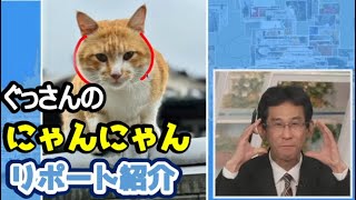 【山口剛央】🐯っ「再び！ぐっさんの爆笑ライフスタイルにゃんにゃんリポート紹介 (ツベコメ有り)」