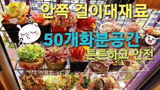 다육이 베란다걸이대 안쪽으로안전하게 걸이대만들어서 50개화분 내놨어요 다이소에서 구입한재료소개합니다 Succulents