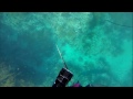 夏の海でウマズラ＆石鯛狩り　関西お魚突き６８ spearfishing polespear