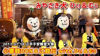 【みやざき犬】むぅ師匠と 弟子ひぃ(お笑い担当) 心響鼓DON＆江鼓伝 with ひぃ＆むぅ：201707江平子安観音大祭