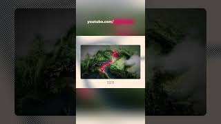 Map Animation Tutorial in Alight Motion | Step by Step for Beginners #shorts