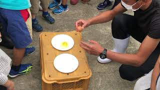 平飼いたまご 鶏舎見学 ～食べものの地域自給を目指して～