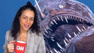 My Interview with the Angler Fish