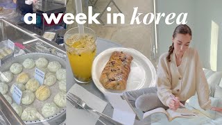 a week living in korea 🥖 street food, practicing korean, daily work life