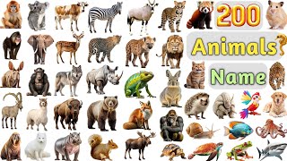 Animals Vocabulary ll 200 Animals Name In English With Pictures ll All Animals N