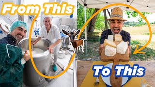 How to Make Italian Cheese: Learning to Cook in Italy | Ep. 19 Month in The Making