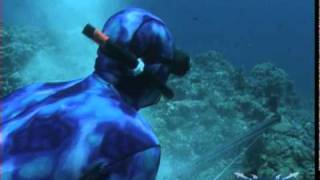 December - Vanuatu Spearfishing By Wettie \u0026 Wetkiwi