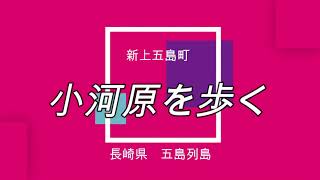 五島列島　新上五島町　小河原を歩く